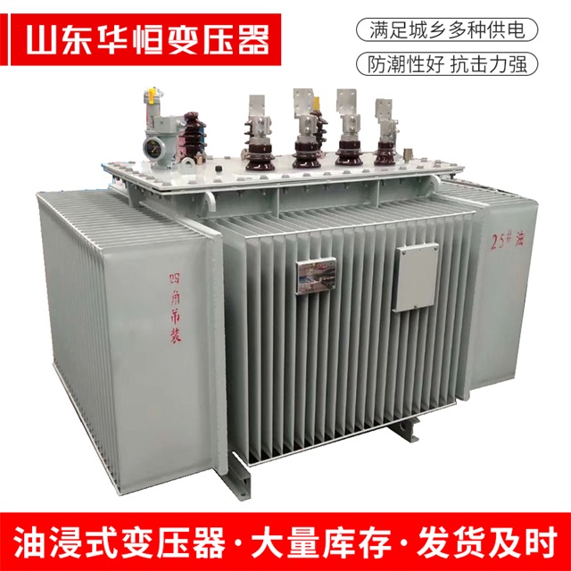 S13-10000/35辽源辽源辽源电力变压器厂家